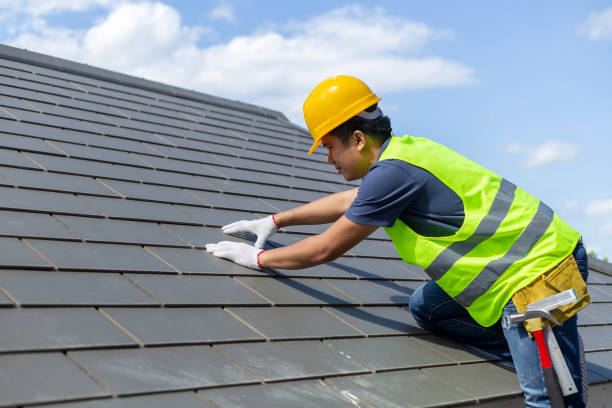 Best Flat Roof Repair Services  in Calumet Park, IL
