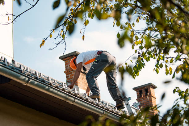 Roof Gutter Cleaning in Calumet Park, IL